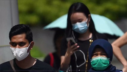 Coronavirus : la Chine ordonne aux habitants d'éliminer leurs animaux de compagnie