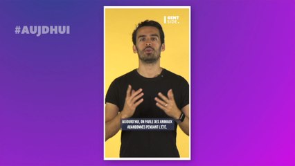 Abandon d'animaux : un député propose une mesure pour lutter contre l'abandon des animaux