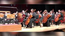 Un chat farceur s'incruste et perturbe un concert de musique classique à Istanbul : le public rit aux éclats (VIDEO)