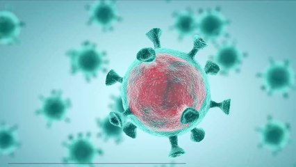 Édouard Philippe annonce un probable déconfinement "par étapes", selon plusieurs critères