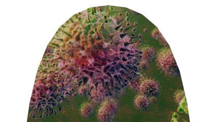 Coronavirus : nouveau record de contaminations en 24h dans le monde