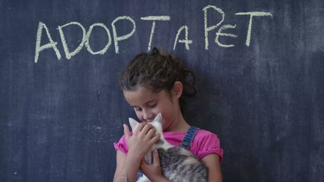 Adopter un animal pendant le confinement, c'est possible ?