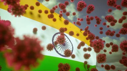 Inde : des touristes arrêtés pour avoir bravé le confinement doivent recopier 500 fois "je suis désolé"