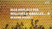 Insolite : une apicultrice déplace des milliers d'abeilles à mains nues ! (VIDÉO)