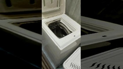 Cat Makes Itself Comfortable in the Washing Machine
