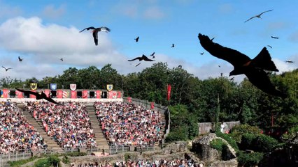Coronavirus : le Puy du Fou accueille 12 000 personnes en tribune, scandale sur les réseaux sociaux