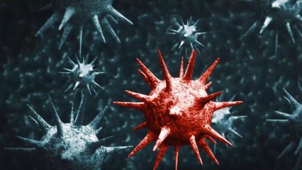 Coronavirus : un laboratoire chinois à l'origine de la pandémie ? La réponse cash de l'Institut concerné