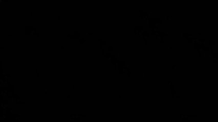 Coronavirus : le Professeur Didier Raoult au cœur d'une polémique suite à sa nouvelle déclaration choc