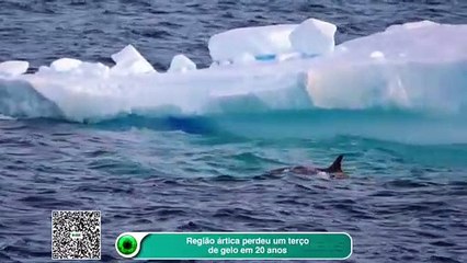 Região ártica perdeu um terço de gelo em 20 anos