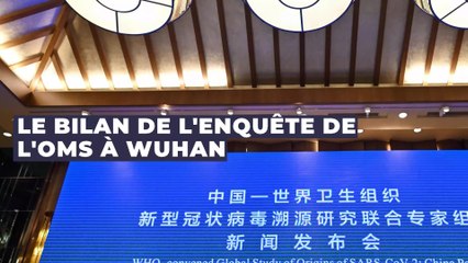 Covid-19 : les experts de l'OMS à Wuhan s'expriment sur les origines du virus