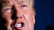 Donald Trump : la phrase choc sur Hitler qui ne passe pas