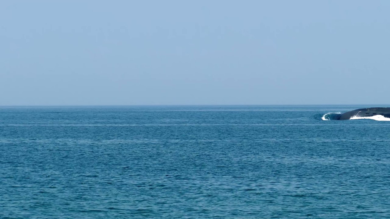 Crise des sous marins : à quoi ressemblent les insubmersibles français refoulés par les Australiens ?