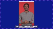 Présidentielle 2022 : une étude révèle avec quels candidats les Français aimeraient fumer un joint