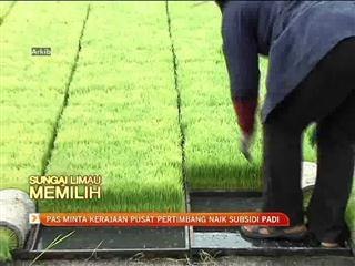 PAS minta kerajaan pusat pertimbang naik subsidi padi