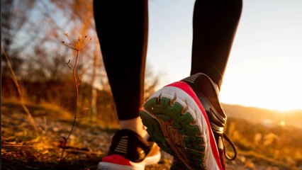 Joggeuse disparue en Mayenne : la jeune fille de 17 ans avoue avoir menti