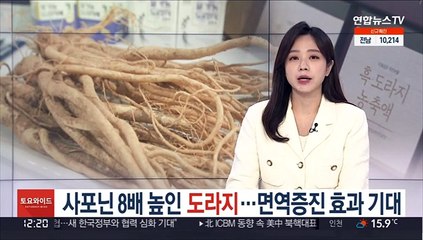 사포닌 8배 높인 도라지…면역증진 효과 기대