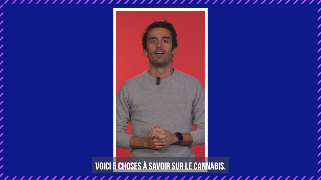 Des agents de la poste drogués au cannabis après avoir dévoré les brownies d'un colis