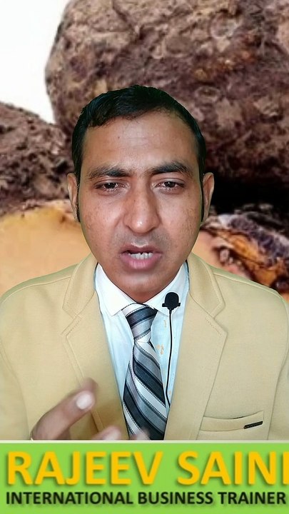 top importer countries of elephant yam, elephant yam export, elephant yam importer