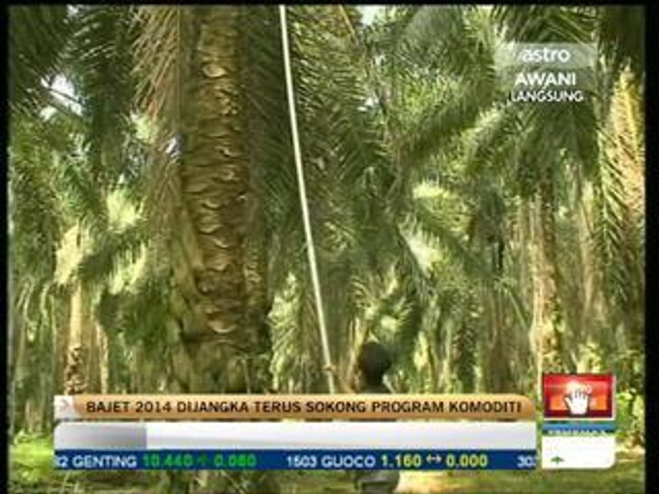 Bajet 2014 dijangka terus sokong program komoditi