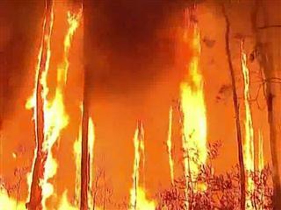 Bushfires ravage communities in Australia