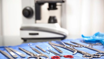 Aude : le cadavre de la valise abandonnée était celui d'un fœtus ou d'un nouveau-né