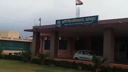 AU--ऐसी किस्मों पर किया काम, लाभा​न्वित हो रहे हजारों किसान, आप भी जानिए कैसे