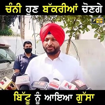 ਚੰਨੀ ਹੁਣ ਬੱਕਰੀਆਂ ਚੋਇਆ ਕਰਨਗੇ: Ravneet Bittu ANGRY on Charanjit Singh Channi | The Punjab TV