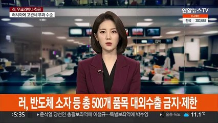 러시아, 반도체 소자 등 총 500개 품목 대외수출 금지·제한