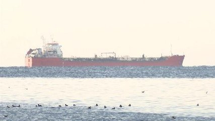 AYÇİÇEK YAĞI YÜKLÜ GEMİ MARMARA DENİZİ'NE AÇILDI