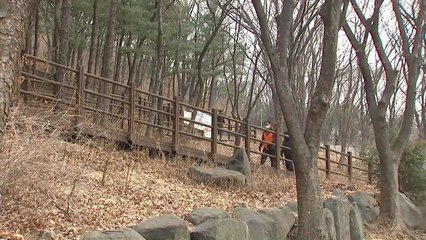 봄맞이 산행 나선 시민들..."코로나19 진단·의료체계 전환" / YTN