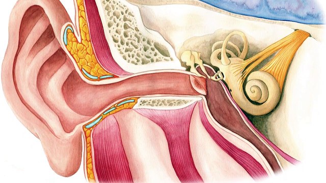 Abdestin İnsan Sağlığı Üzerindeki Olumlu Etkileri