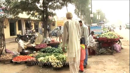 Tallest Indian woman goes grocery shopping, Meerut!