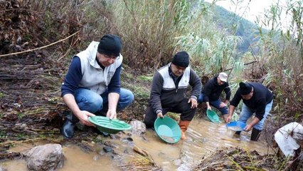 Yer: Türkiye! Dere yataklarından altın toplayıp bir haftada 7 bin 500 lira kazanıyorlar