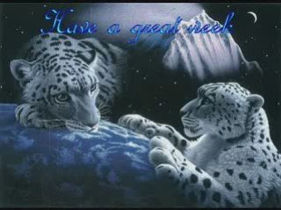 FUNK LIGHT RELAX