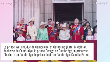 Le prince Harry plante à nouveau la famille royale : une nouvelle provocation qui ne passe pas