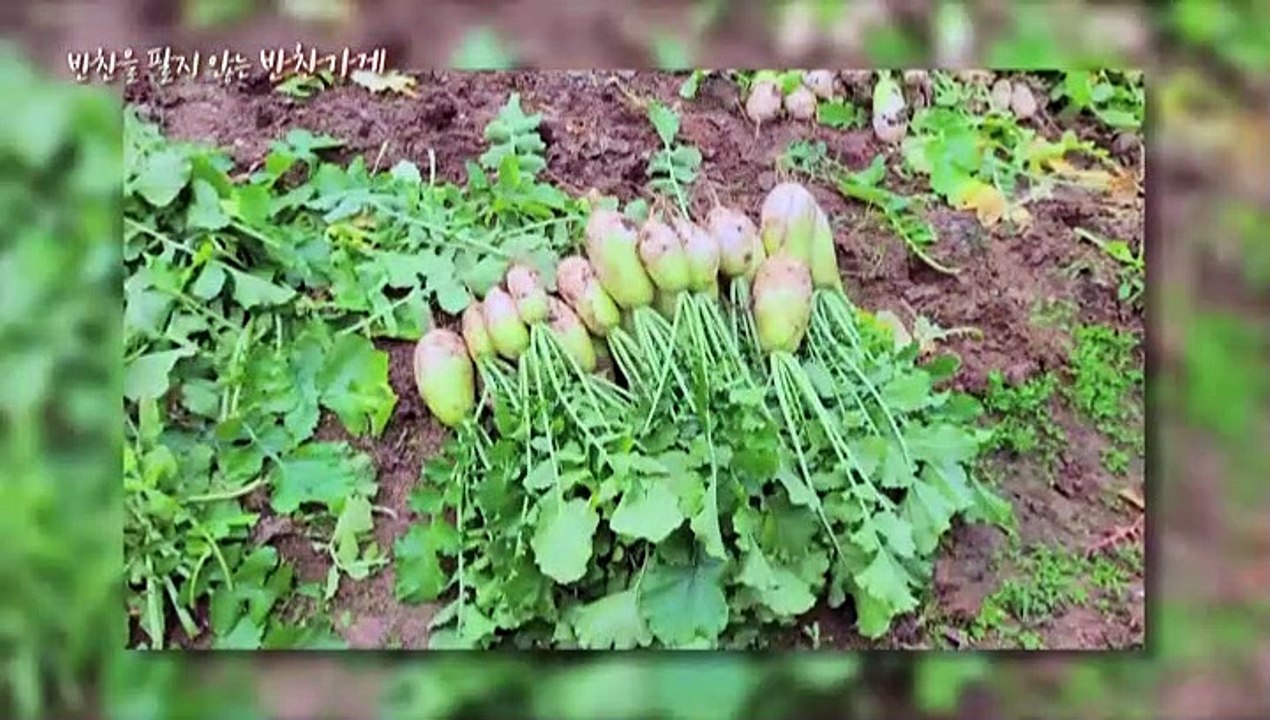 [미니다큐] 아름다운 사람들 - 199회 : 반찬을 팔지 않는 반찬가게
