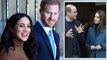 Meghan Markle and Prince Harry 'beating royals to the punch' with 'do it yourself royalty'