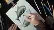 How to Draw Tuna Fish - Drawing 3D Fish Illusion on Paper -By Vamos