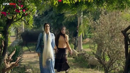 مسلسل في الحب و الحياة حكاية أخويا