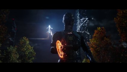 Spider-Man : No Way Home Described