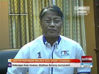 Sektor pertanian Melaka terjejas akibat kemarau