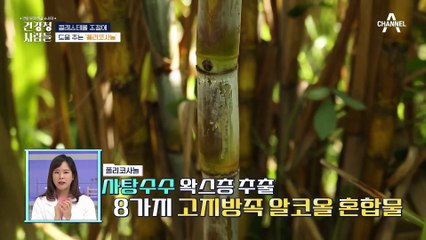 콜레스테롤부터 혈압까지! 혈관 건강의 A-Z를 책임질 '폴리코사놀'