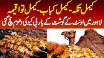 Camel Tikka, Camel Kabab, Camel Tawa Qeema - Lahore Me Camel BBQ Ki Dhoom Mach Gayi