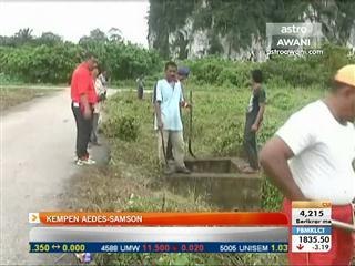 Kempen aedes - Samson