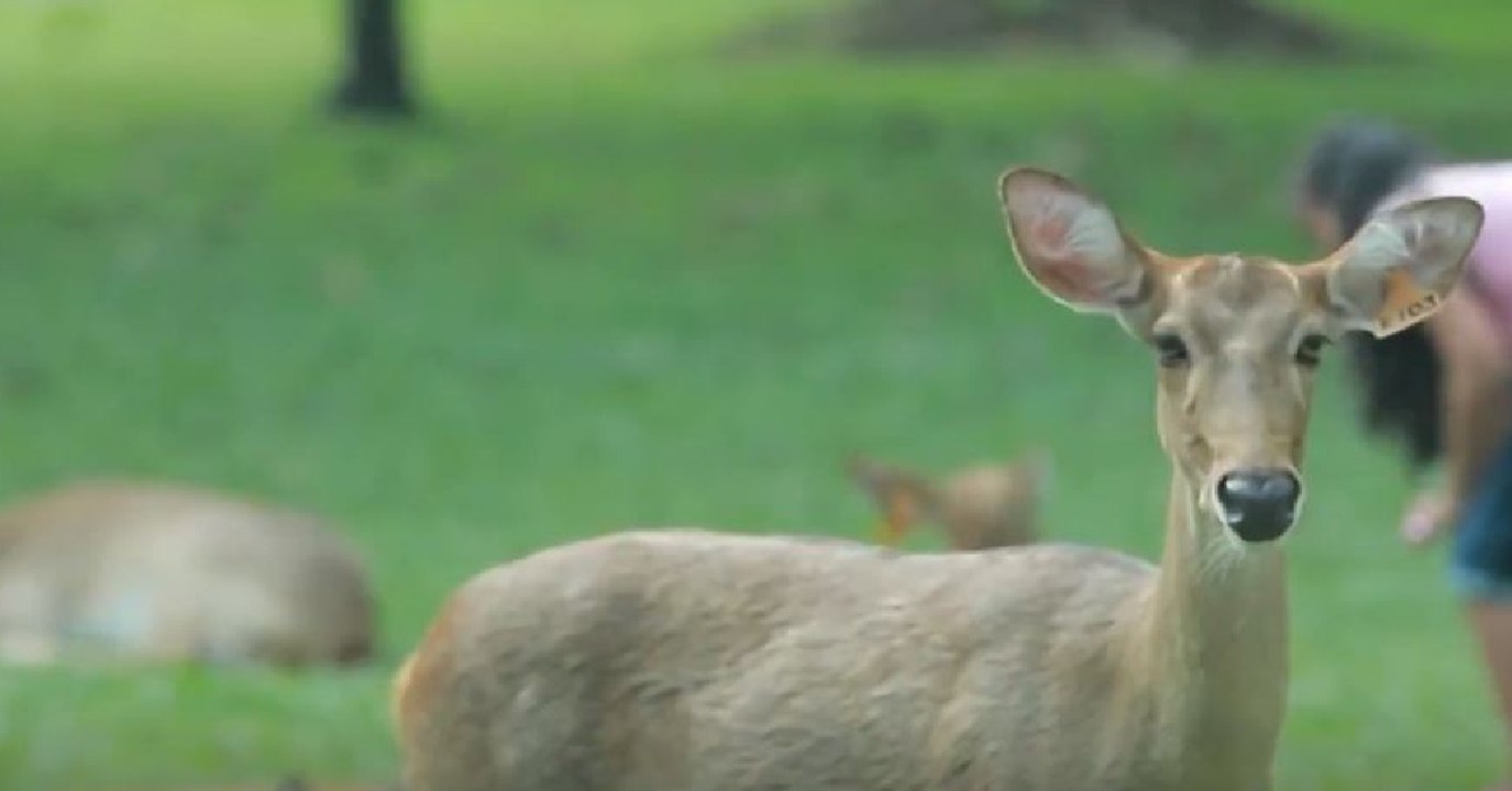 9 ข่าวค่ำ ช่วงที่ 2 วันเสาร์ที่ 12 มีนาคม 2565