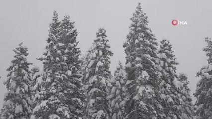 Kastamonu'da sis ve kar etkili oluyor
