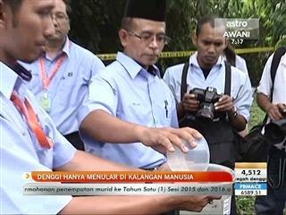 Denggi hanya menular di kalangan manusia