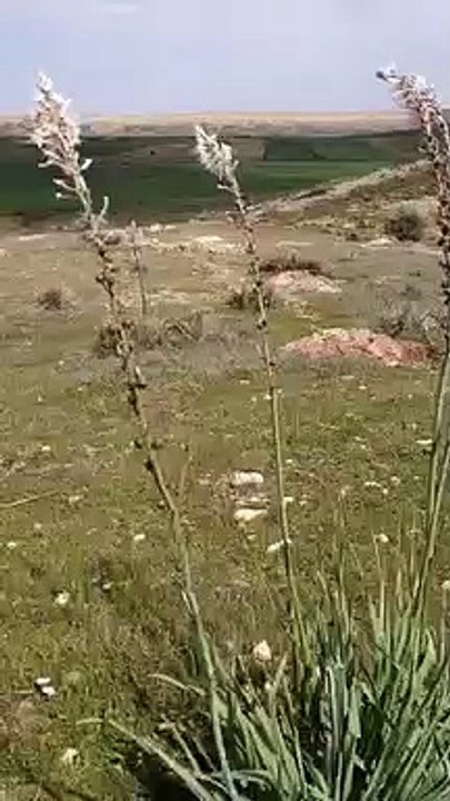 Ait bou Ali tidili massfioua Maroc
