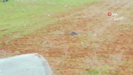 Mardin'de otomobil tarlaya uçtu: 8 yaralı