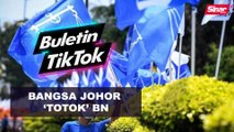 Bangsa Johor ‘totok’ BN